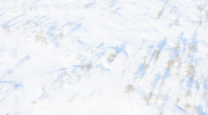 Droonifoto lumisest rabast Drone photography snowy landscapes in Estonia