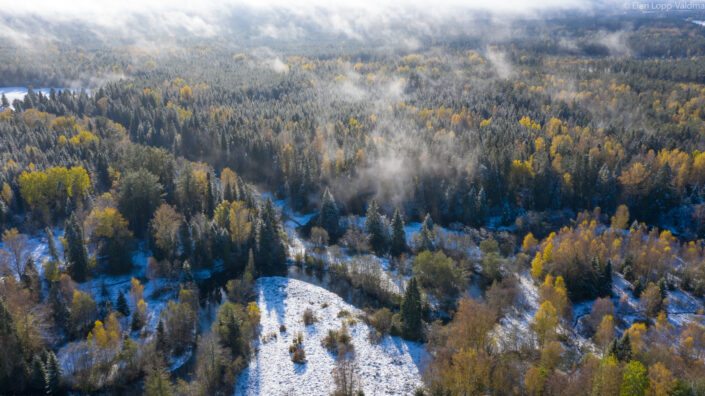 Drone photography river forest snow and mist Droonifoto jõgi mets udu ja lumi