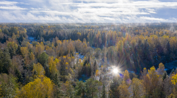 Drone photography river forest snow and mist Droonifoto jõgi mets udu ja lumi