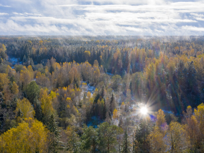 Drone photography river forest snow and mist Droonifoto jõgi mets udu ja lumi